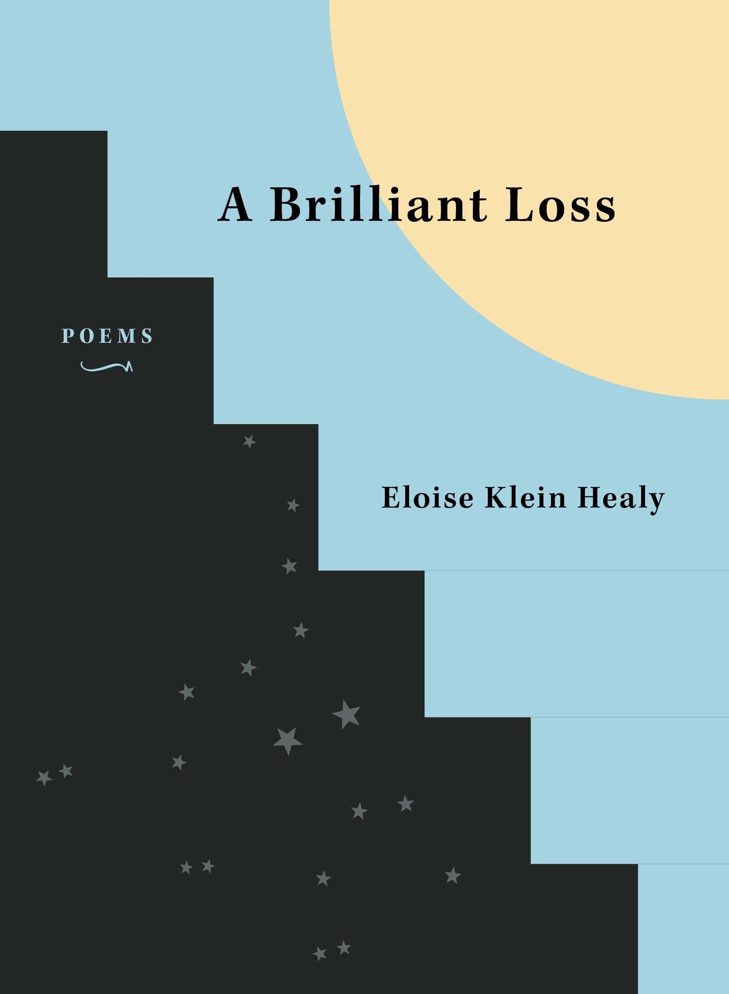 Cover image for A Brilliant Loss ISBN 9781636280622